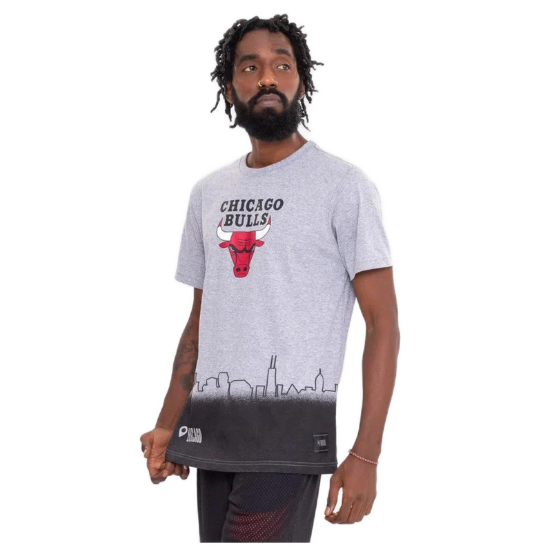 Camiseta NBA Landscape City Chicago Bulls Cinza NBA