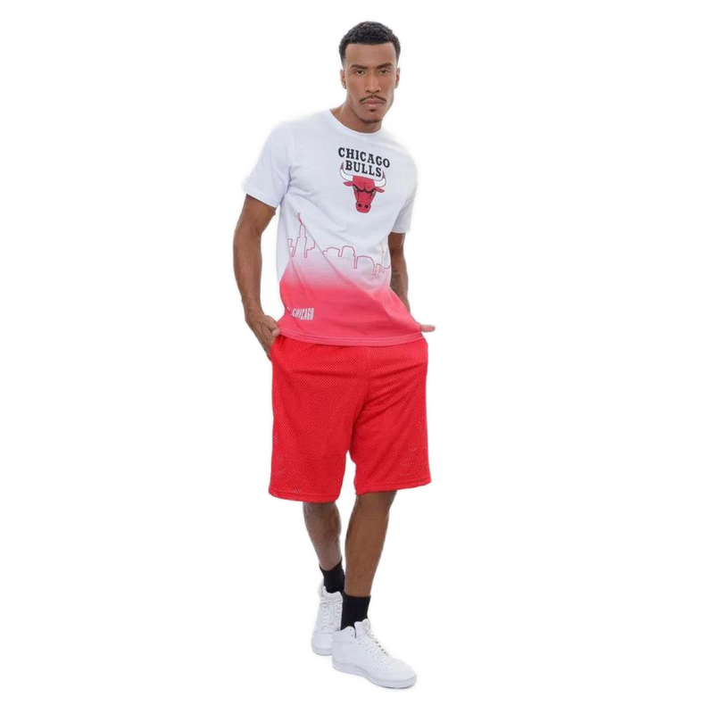 Camiseta NBA Landscape City Chicago Bulls Off White NBA