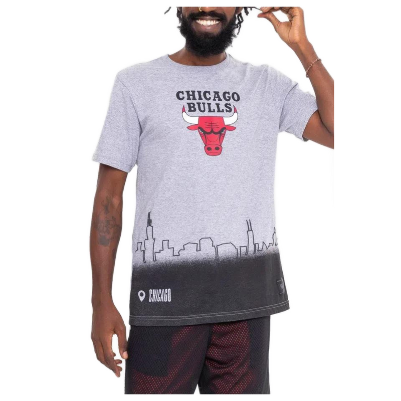 Camiseta NBA Landscape City Chicago Bulls Cinza NBA